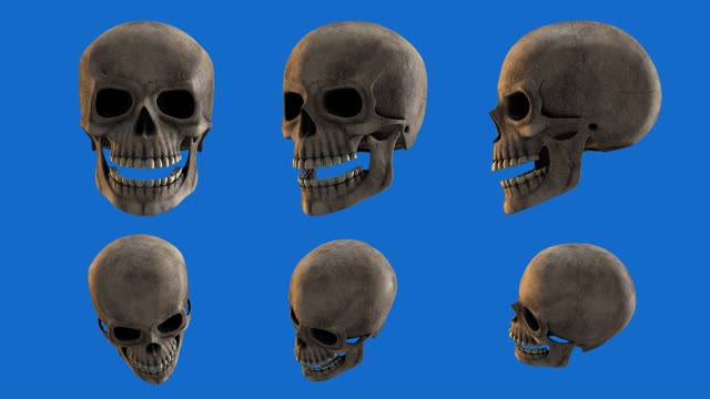 Skull skeleton green screen