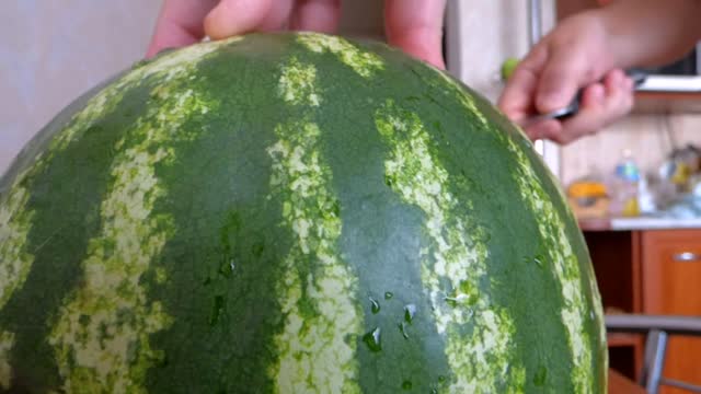 Watermelon melon knife