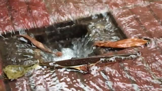 Drain rain wet