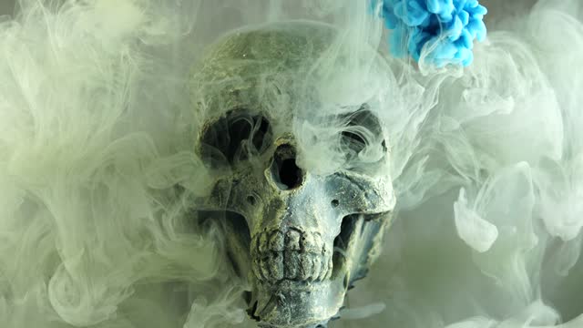Dry head head skeleton