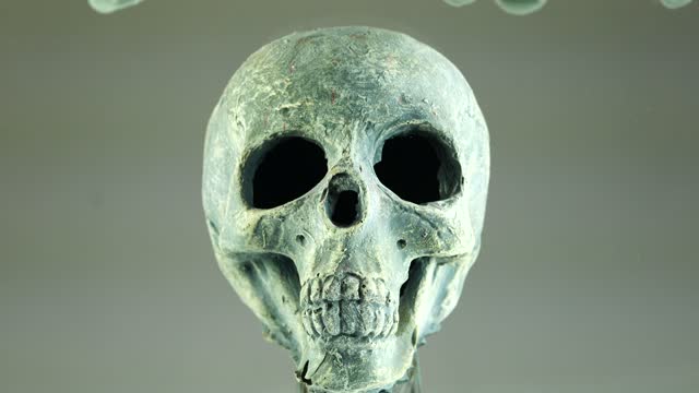 Dry head head skeleton