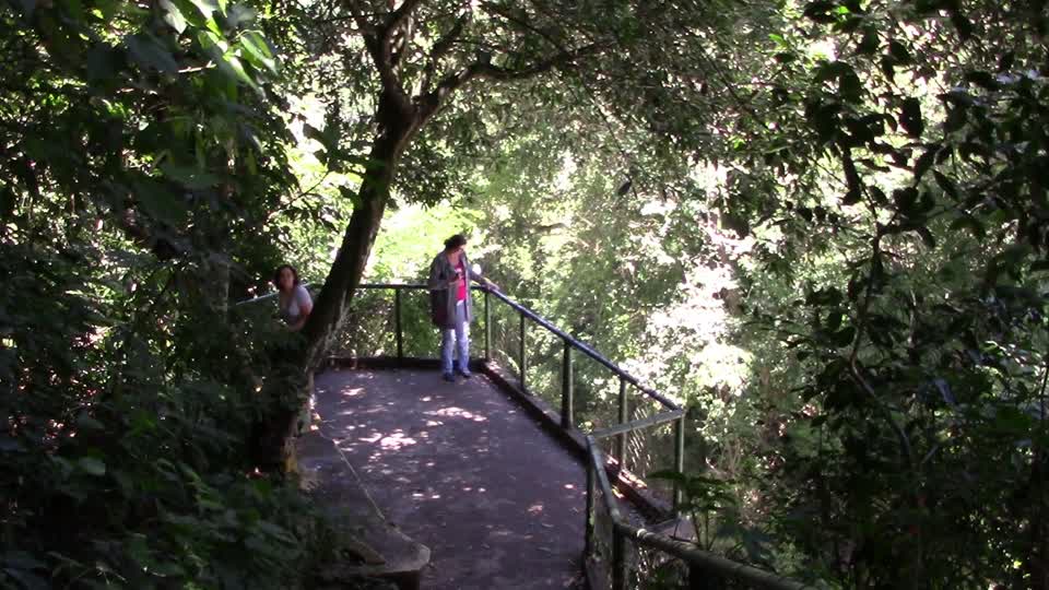 Lookout park nature