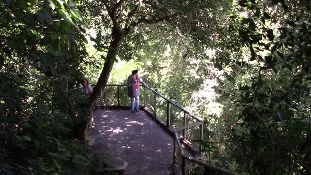 Lookout park nature