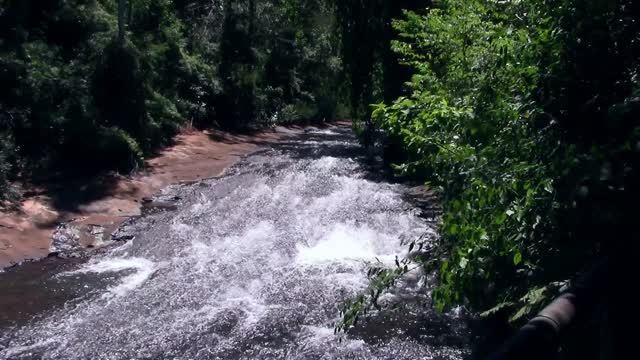 Rapids park nature
