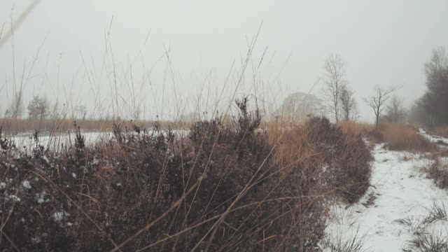 Winter snow ice