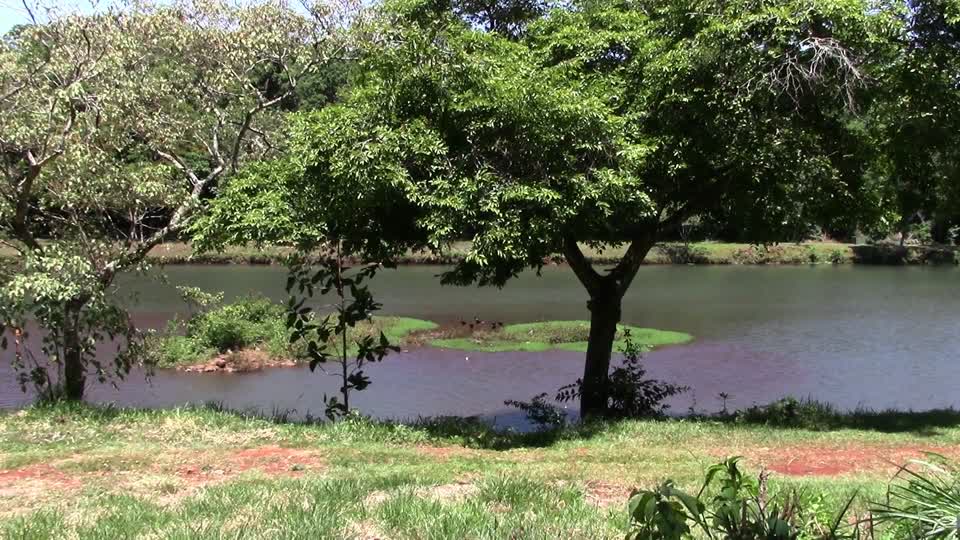 Stream park nature