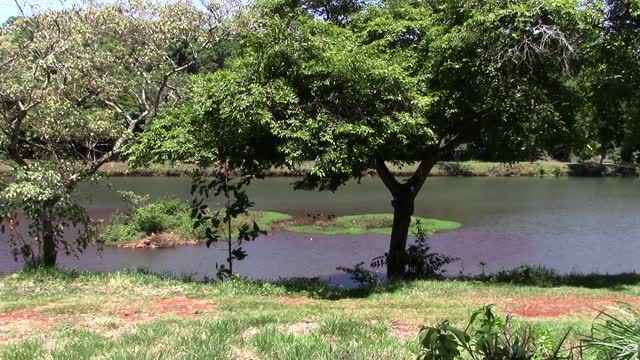 Stream park nature