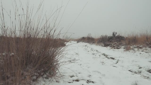 Winter snow cold