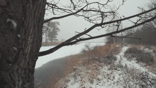 Winter snow cold