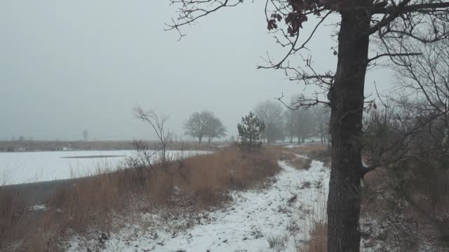 Winter snow cold