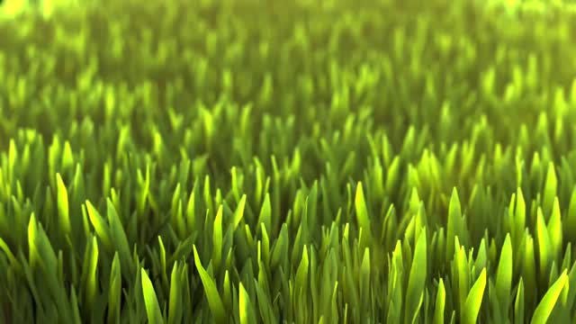 Nature render design