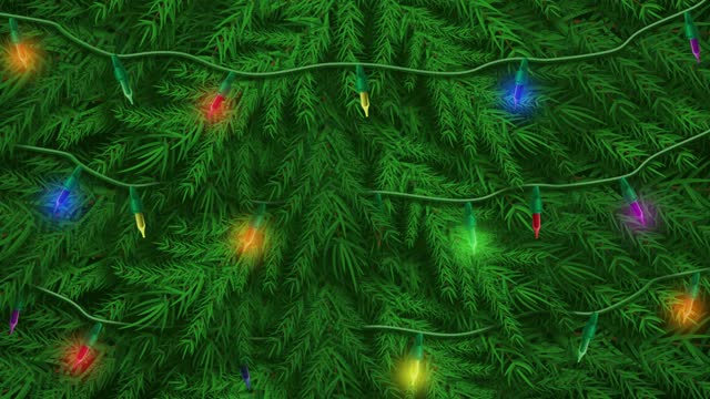 Christmas tree lights