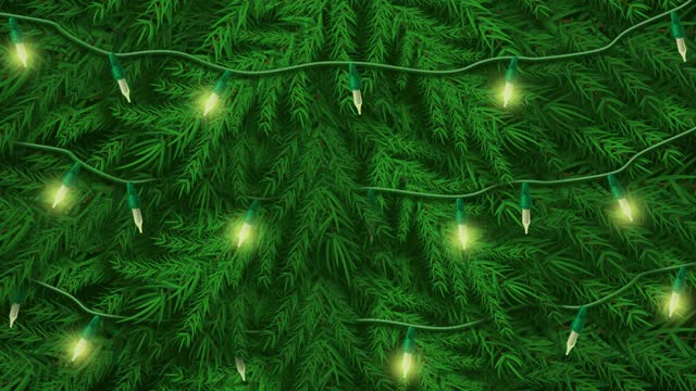 Christmas tree lights
