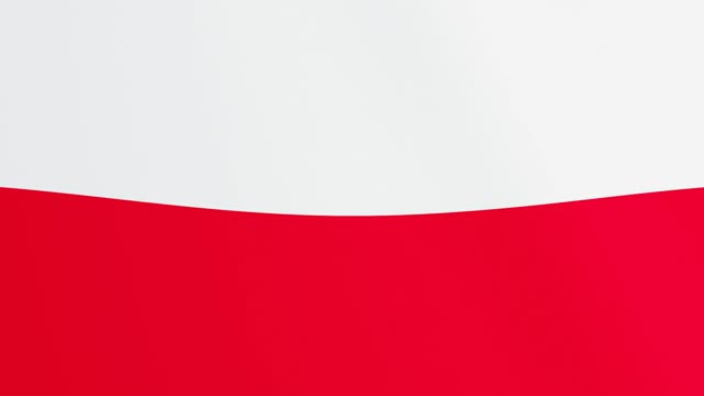 Flag poland polish flag