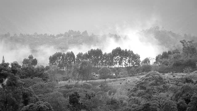 Black and white landscape clouds