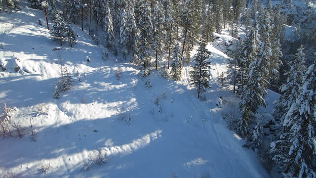Okanagan aerial winter wonderland