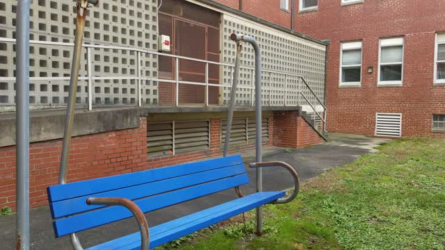 Abandoned cherry hospital