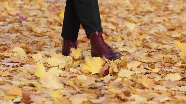 Legs shoes leaves