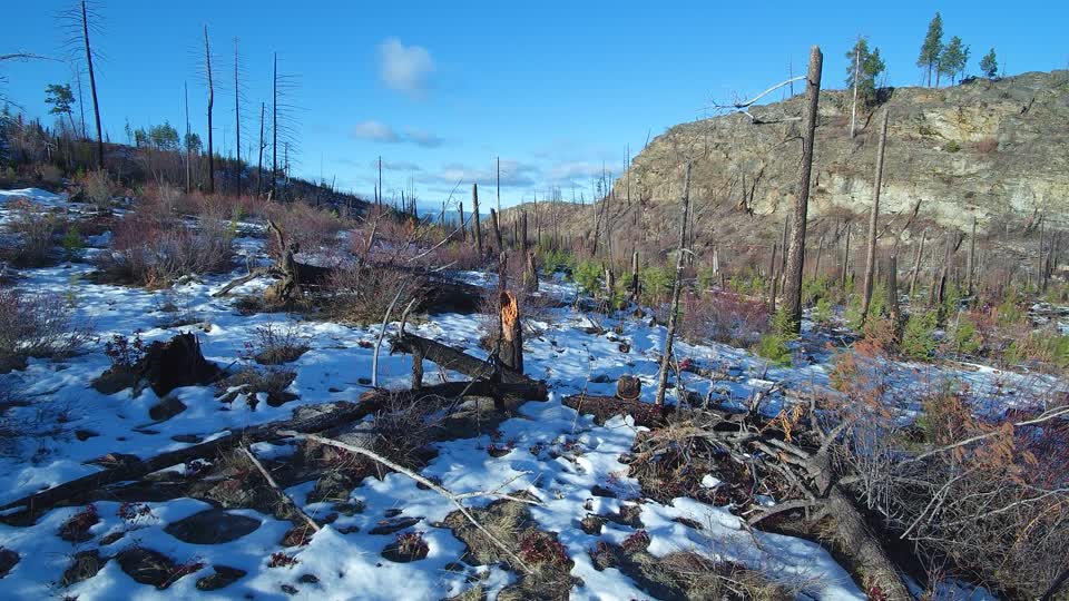 Okanagan wildfire recovery