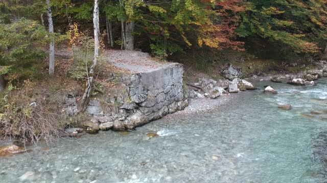 Autumn river nature