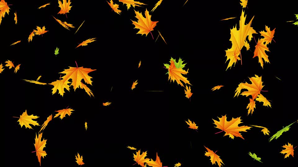 Sheet listopad autumn