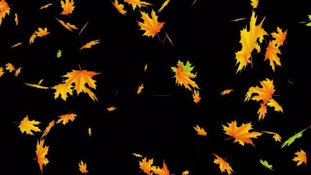 Sheet listopad autumn