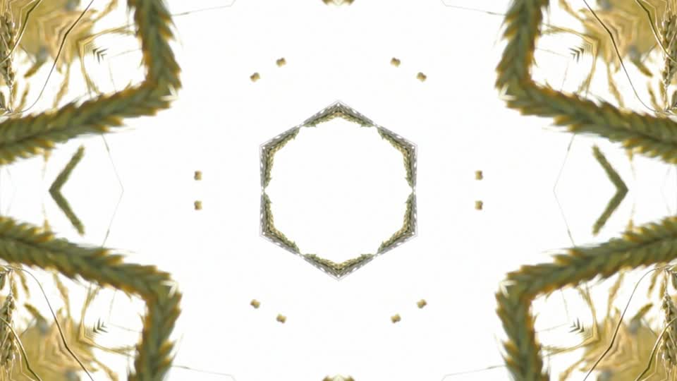 Motion backgrounds texture