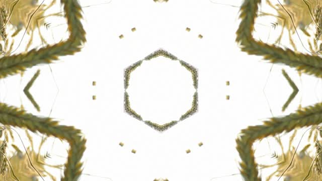 Motion backgrounds texture