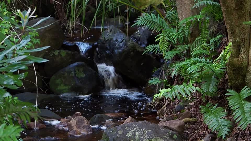 Waterfall water river