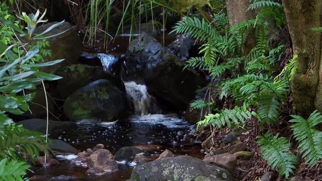 Waterfall water river