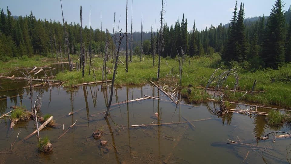 Okanagan landscape wetlands