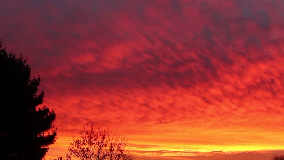 Sunset pink yellow