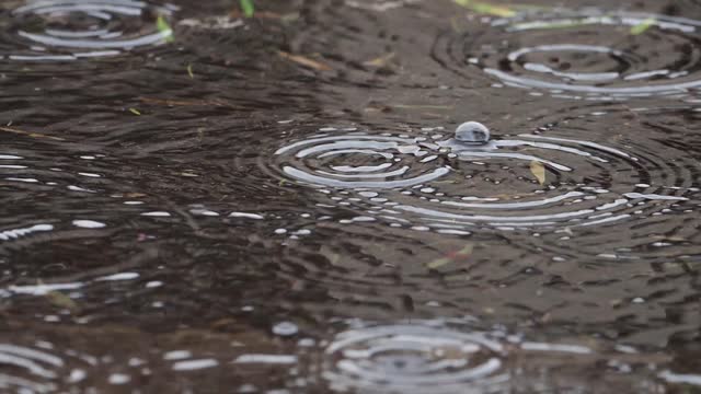 Rain water wet