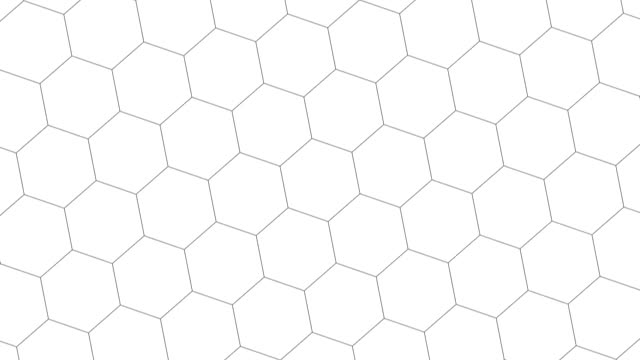 Honeycomb background white