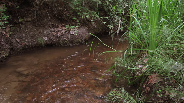 Okanagan landscape creek