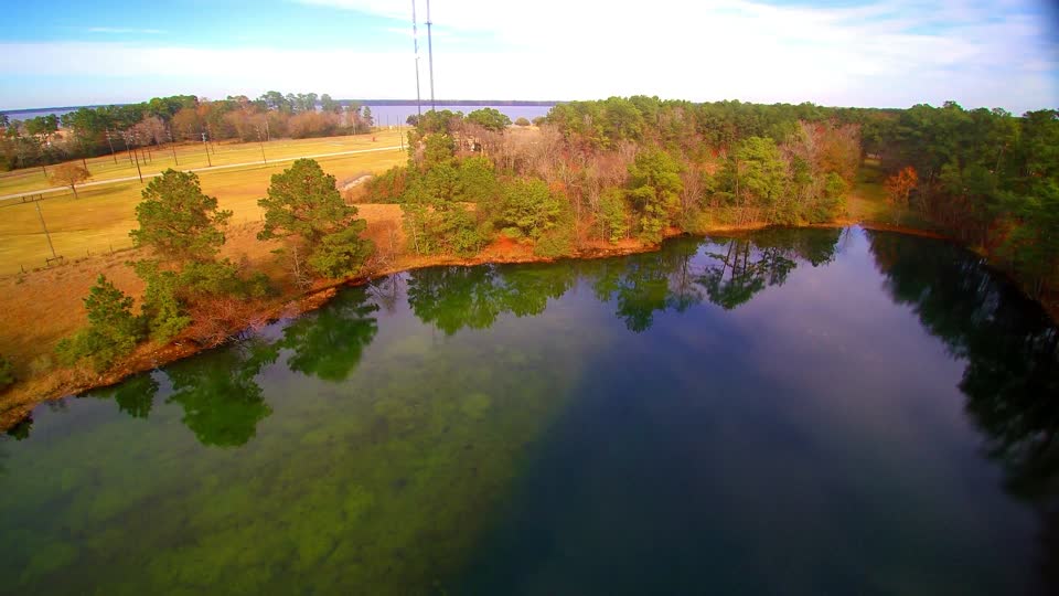 Green pond shallow bottom nature
