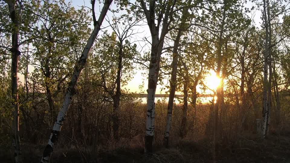 North edmonton landscape