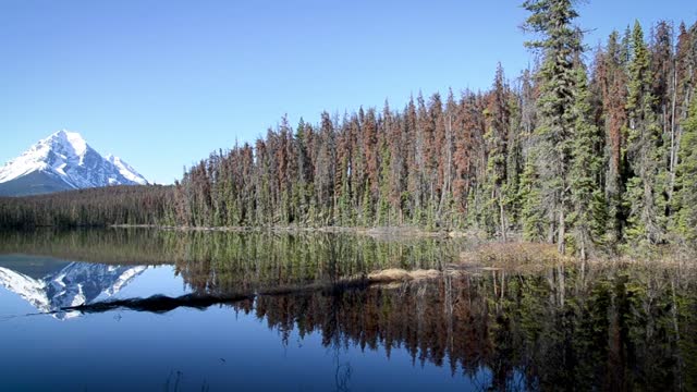 Mountain lake reflection