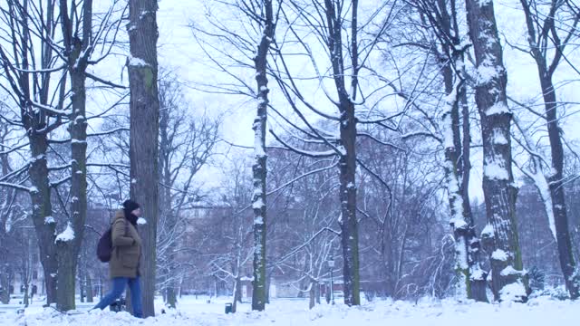 Man walking snow