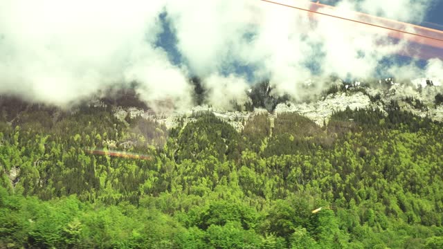 Moutain clouds forest