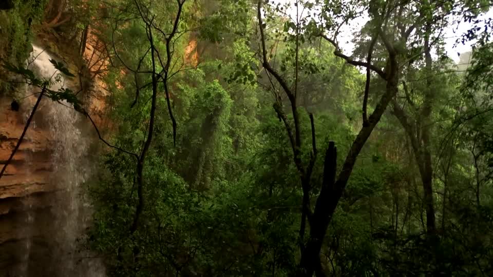 Waterfall forest nature
