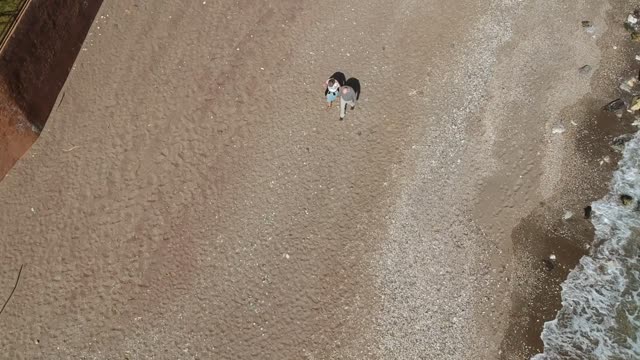 Drone old couple beach