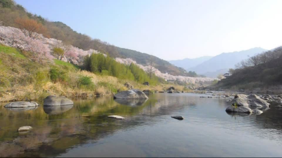 Spring valley jirisan spring