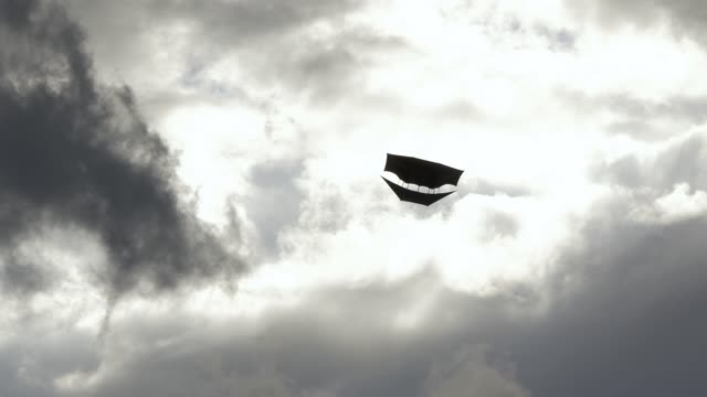 Heaven dragon kites