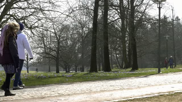Spring walk park