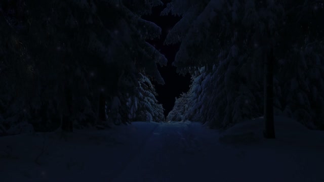 Santa claus winter forest lights