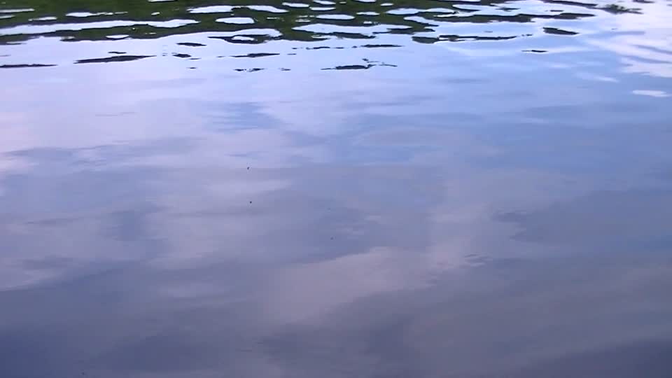 Water background reflection waves