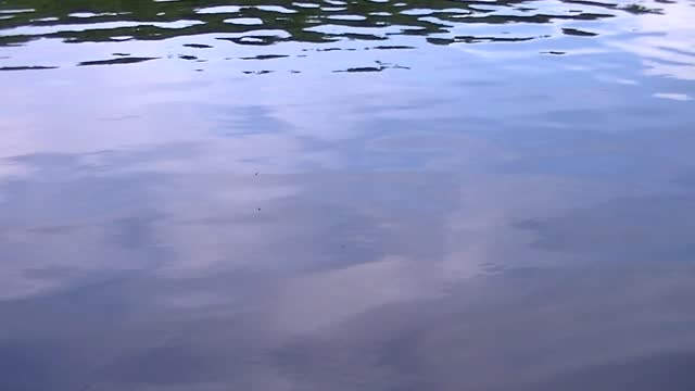 Water background reflection waves