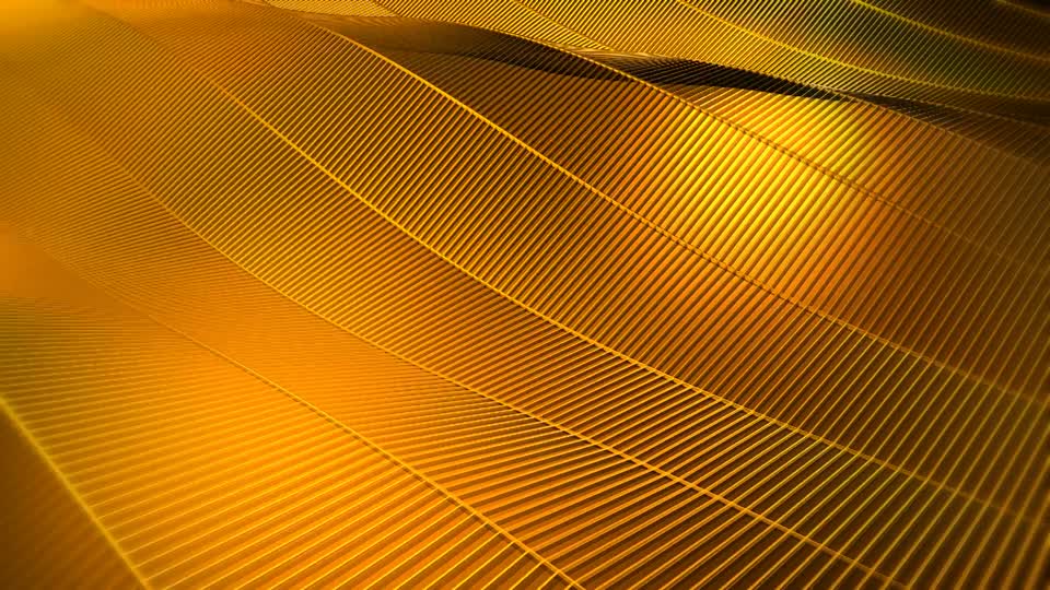 Wave gold abstract