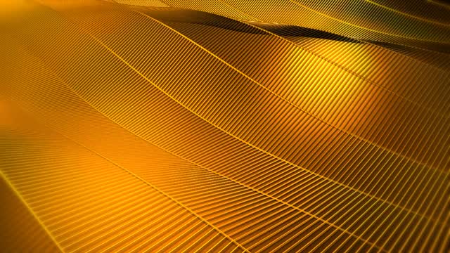Wave gold abstract